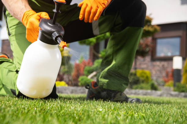 Best Ant Control Services  in Livonia, MI