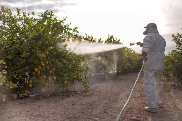 Best Cockroach Control Services  in Livonia, MI